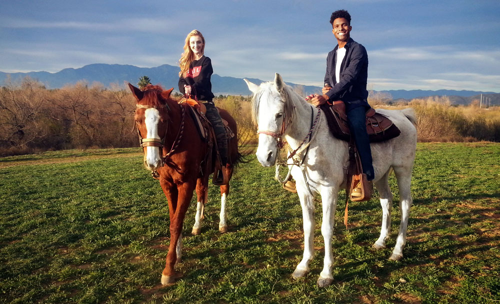 Sunshine and Daydreams Horseback Riding