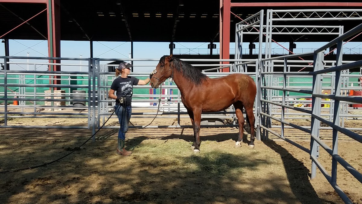 George Ingalls Equestrian Event Center