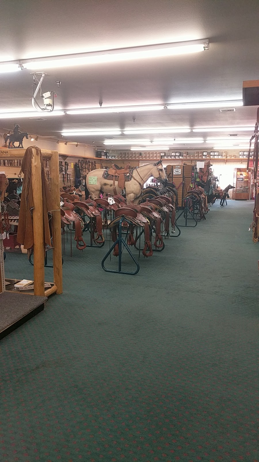 Norco Ranch Outfitters main image