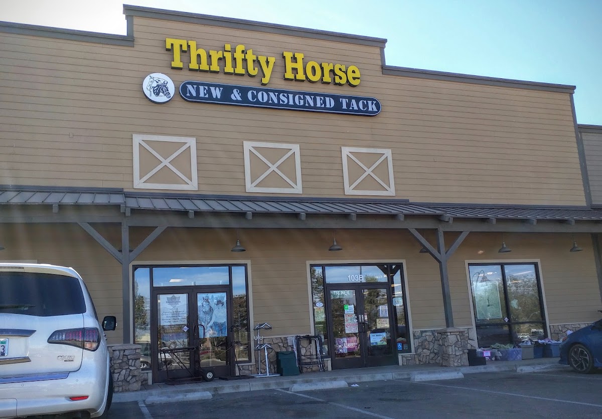Thrifty Horse